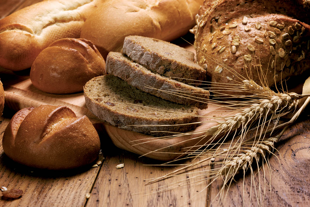 Хлеб – всему голова: бизнес-план пекарни